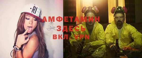 гидра Горняк
