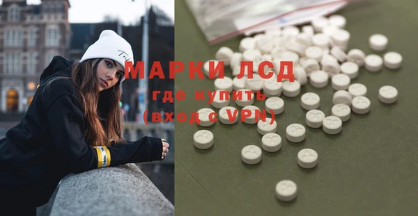 гидра Горняк