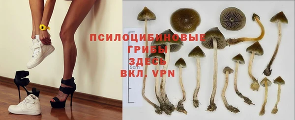 ГАЛЛЮЦИНОГЕННЫЕ ГРИБЫ Горнозаводск