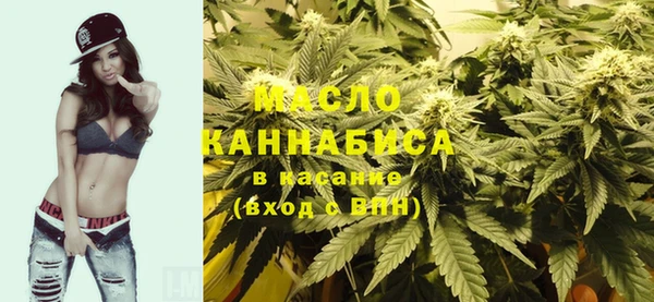 гидра Горняк