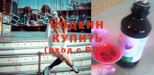 прущие грибы Гусь-Хрустальный