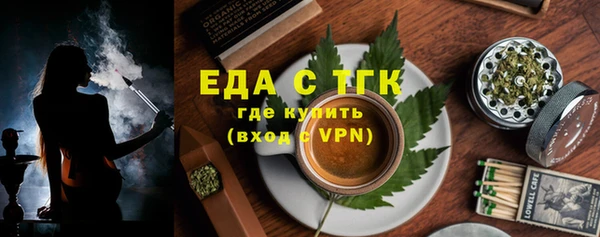 гидра Горняк