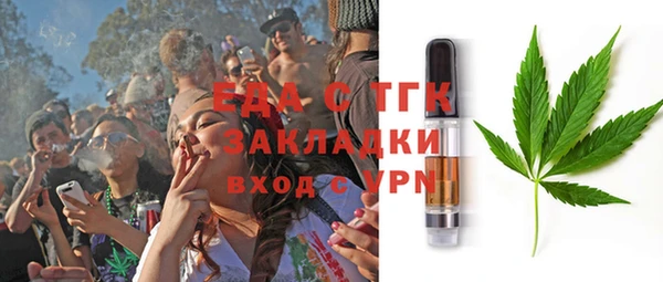 гидра Горняк