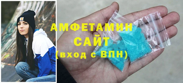 гидра Горняк
