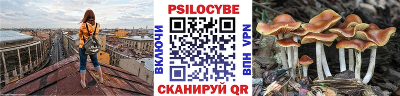 Купить где  Струнино  Псилоцибиновые грибы прущие грибы 